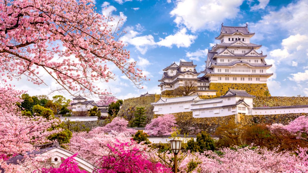 ขอบคุณรูปภาพจาก holifestivaljapan