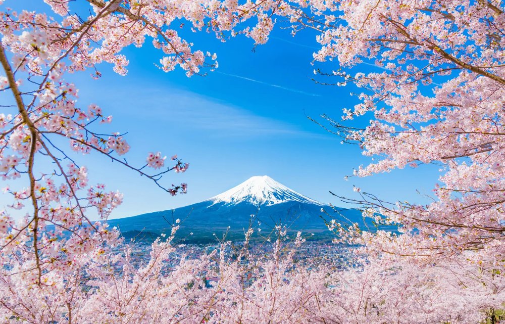 ขอบคุณรูปภาพจาก All About Japan