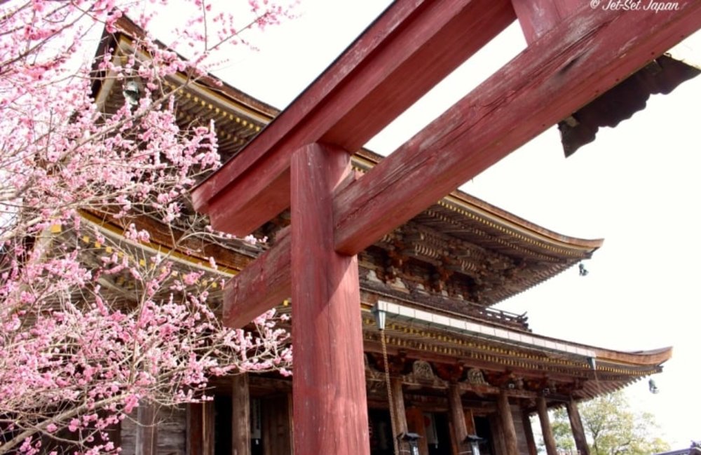 วัดอันศักดิ์สิทธิ์ Kinpusenji Zaodo ที่เมืองชูเกนโด / ขอบคุณรูปภาพจาก jet-setjapan