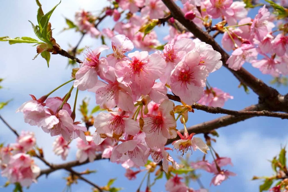 ขอบคุณรูปภาพจาก KIN