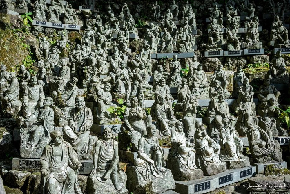 ภาพจาก: WannaBeEverywhere