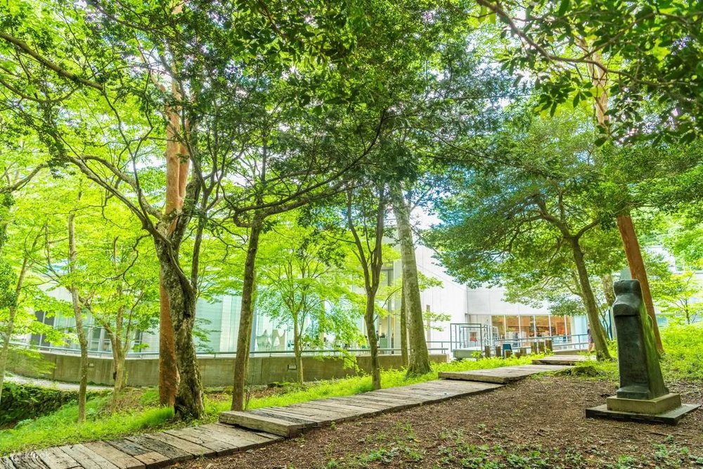 ポーラ美術館 森の遊歩道