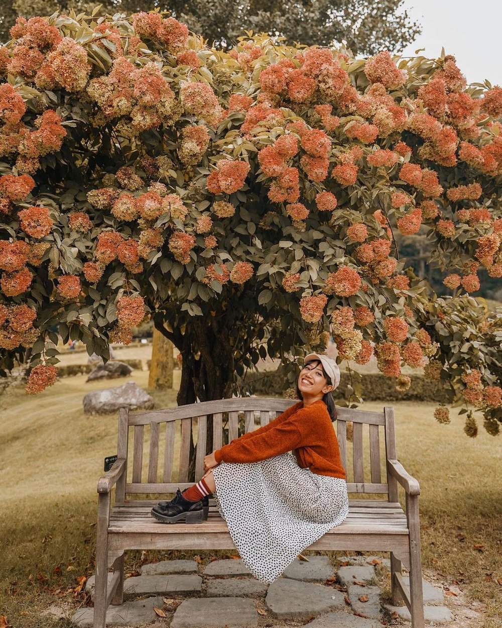 Garden of Morning Calm by @her_journeys