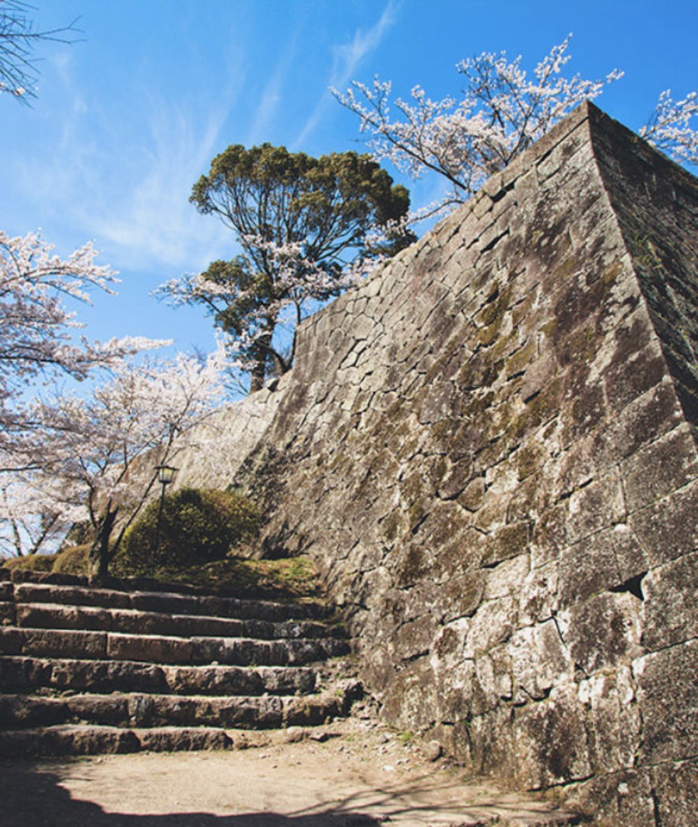 岡城跡, 九州櫻花, 櫻花景點