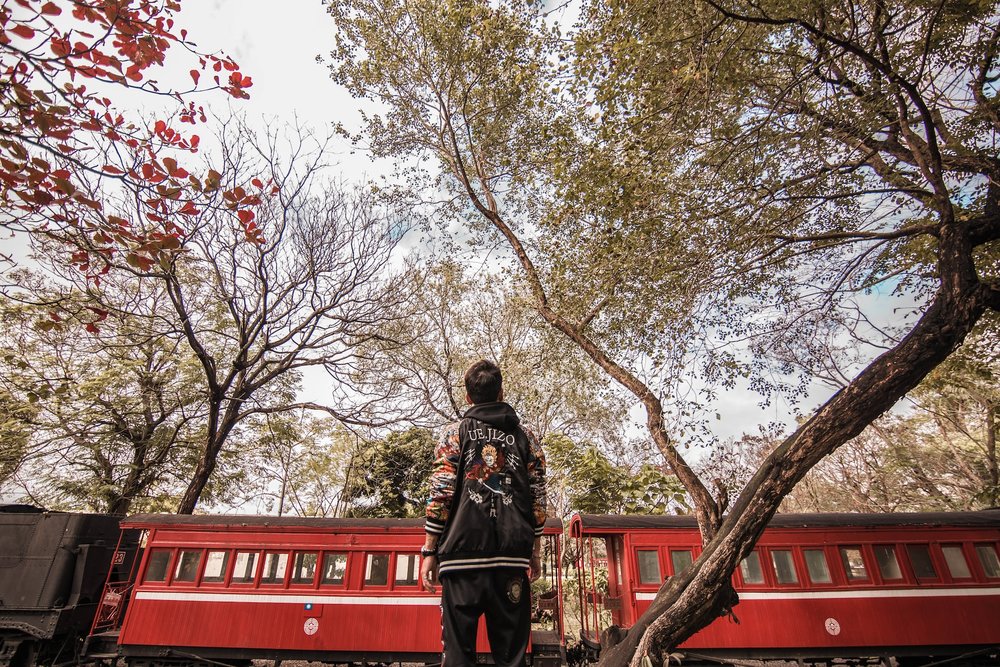 man standing in front of train