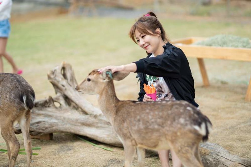 woman petting deer