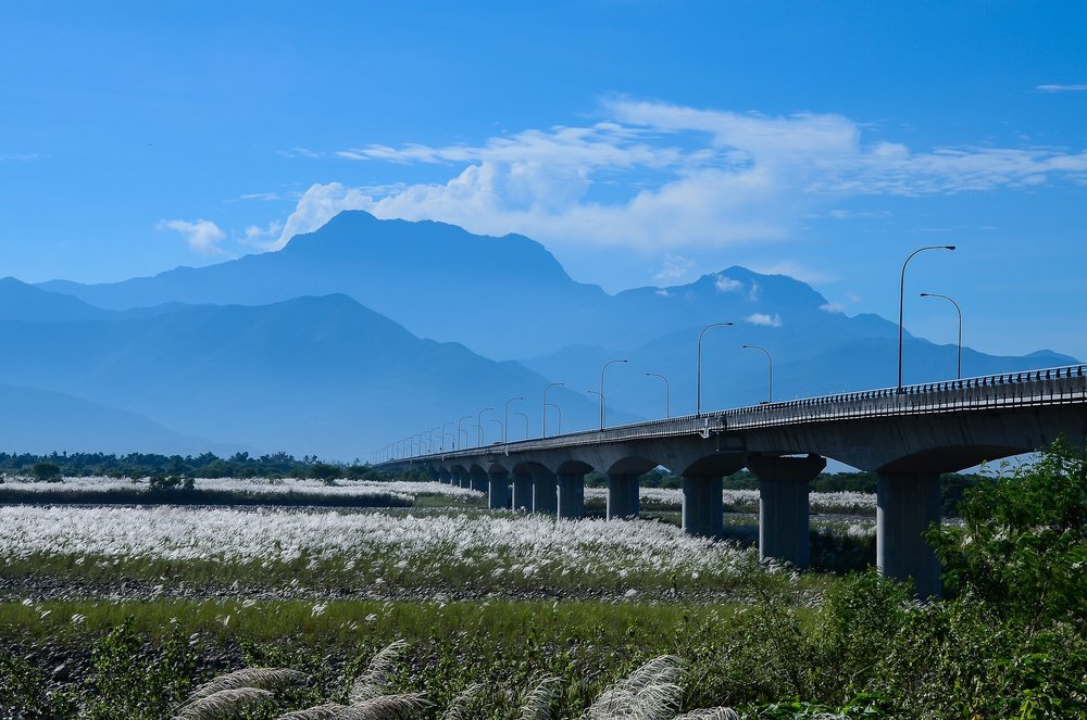 a large bridge amidst a big field and mountains in taiwan