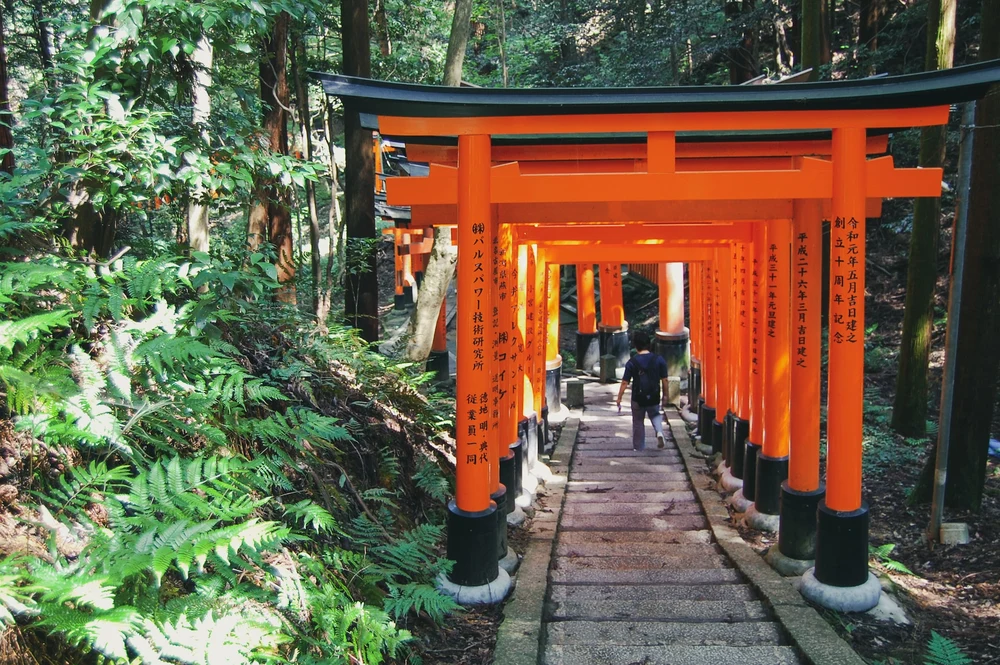 man walking through red gates