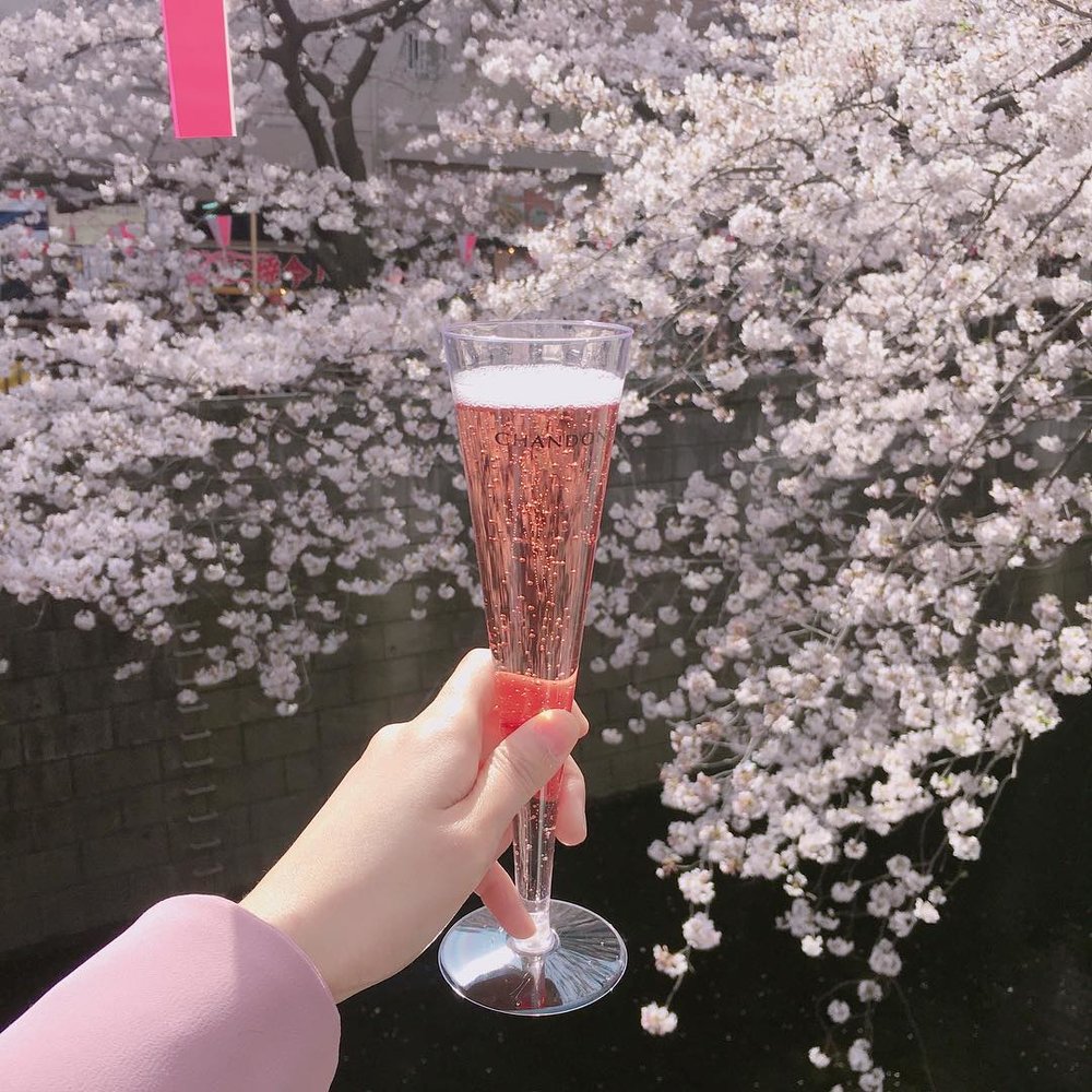 東京賞櫻景點 2023｜10大賞櫻景點 目黑川