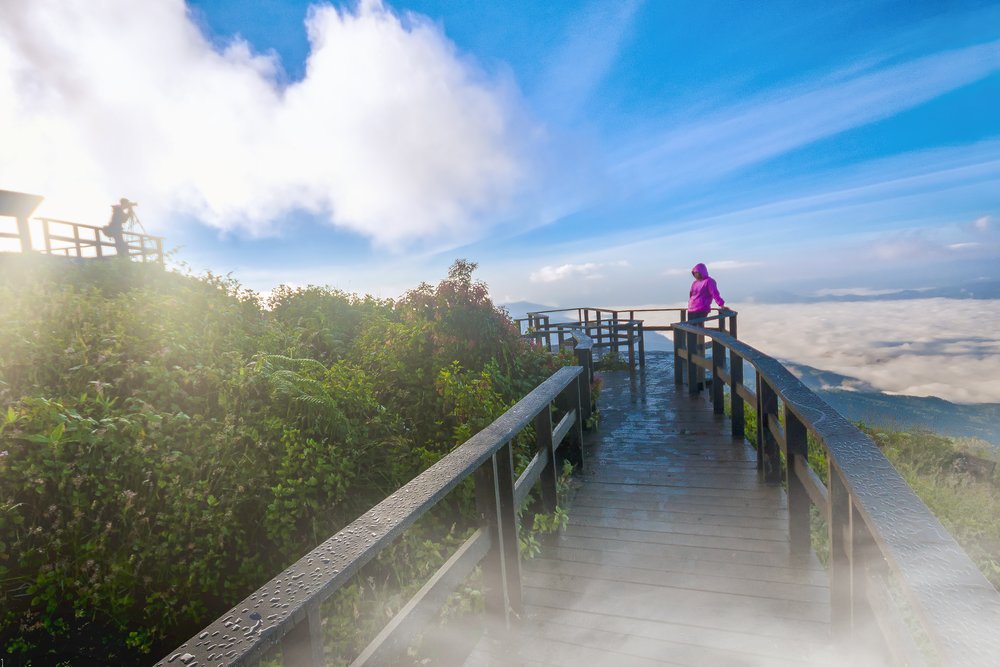 Kew Mae Pan Nature Trail