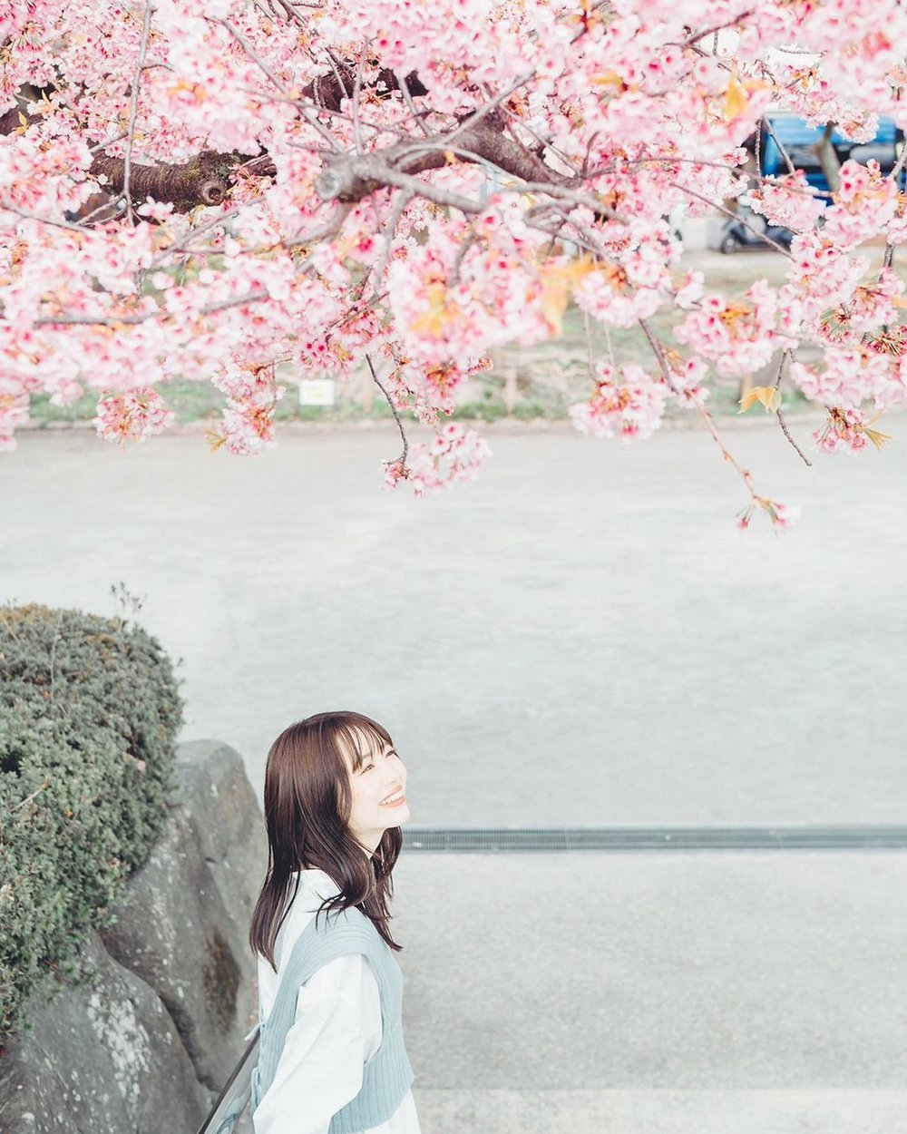 東京賞櫻景點 2023｜隅田公園