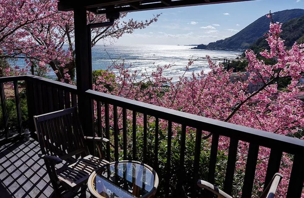 河津櫻景點, 今井浜海岸, 今井浜温泉