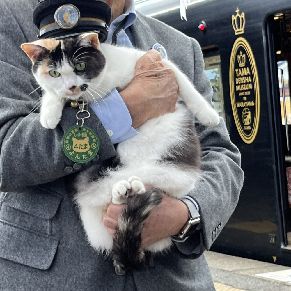 Wakayama Cat Station Master