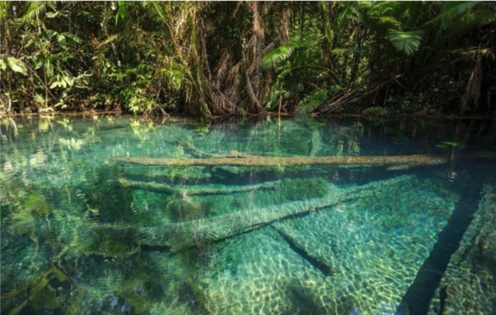 隱世透明潟湖獨木舟
