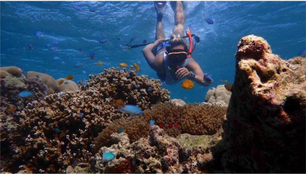 蘇林群島快艇浮潛一日遊
