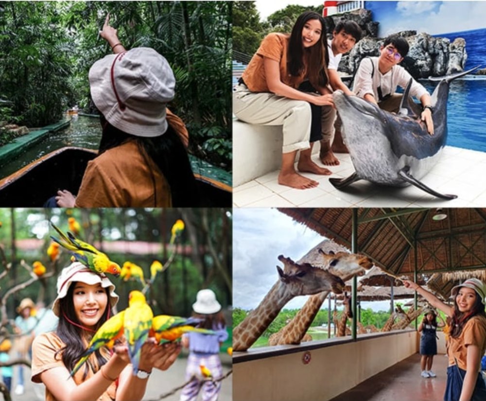 曼谷賽佛瑞野生動物園