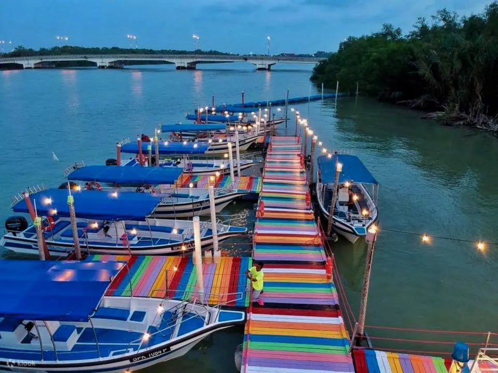 瓜拉雪蘭莪螢火蟲夜遊之旅