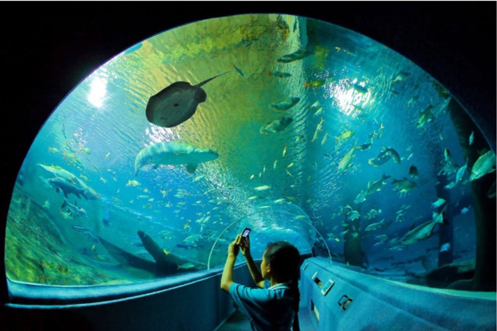 清邁動物園和水族館