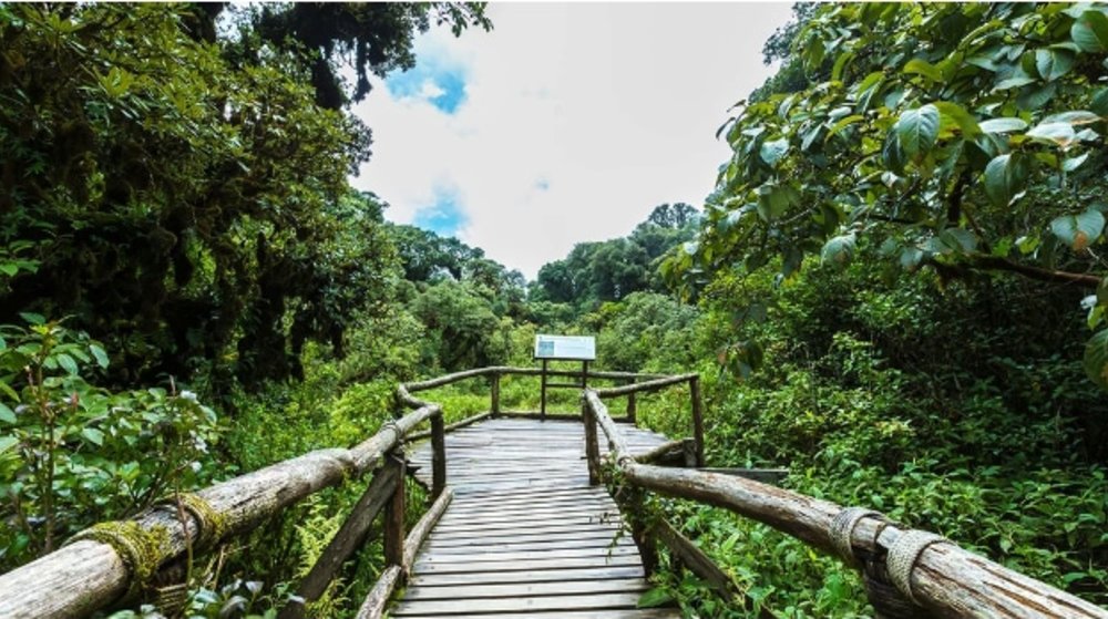 茵他儂國家公園一日遊