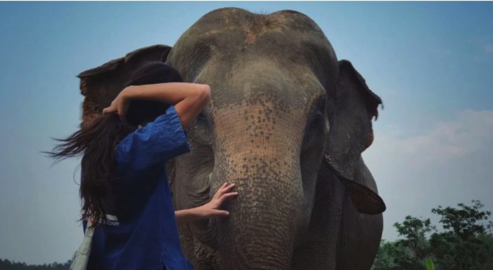 清邁山大象生態保護區