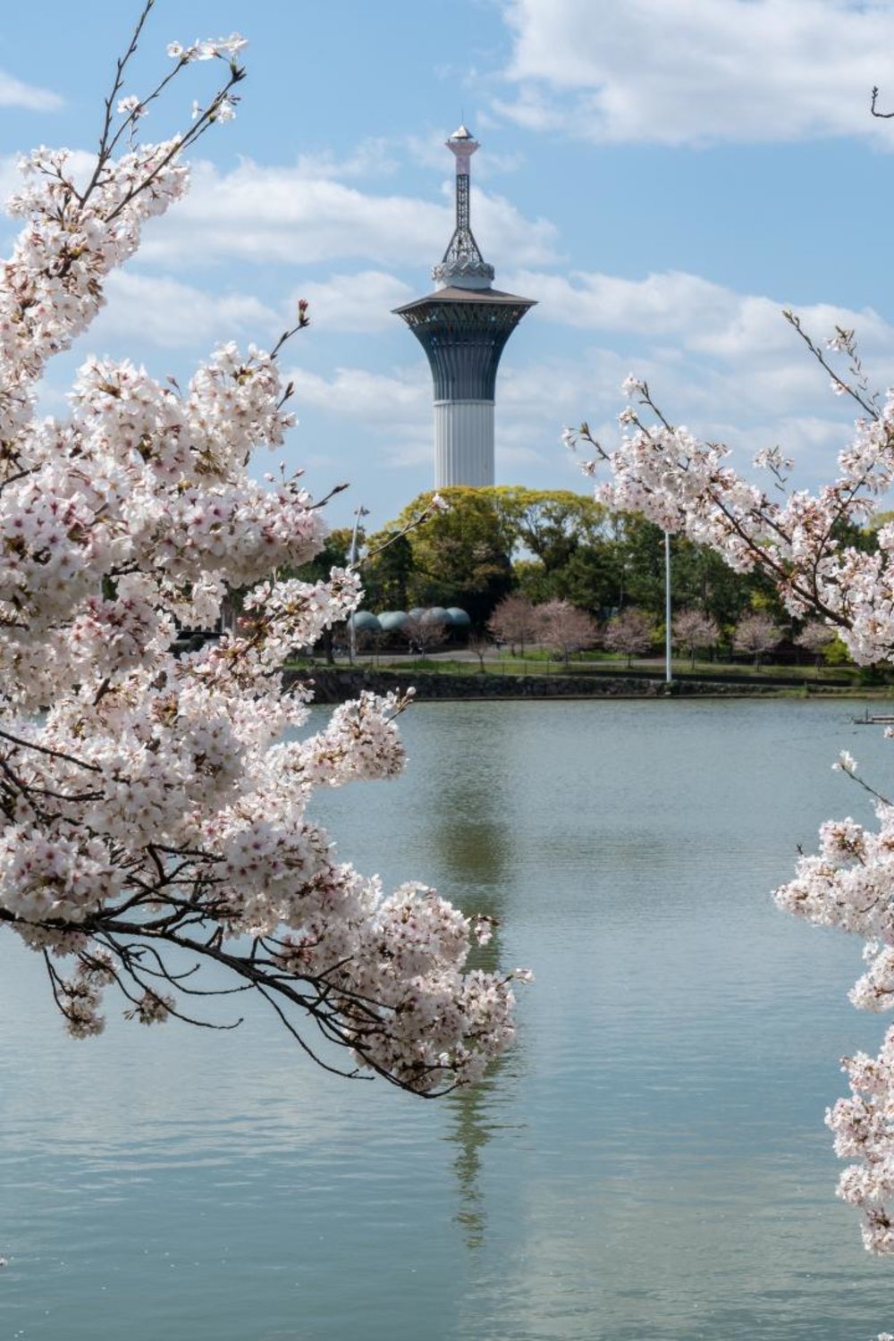 大阪 花博記念公園 鶴見緑地