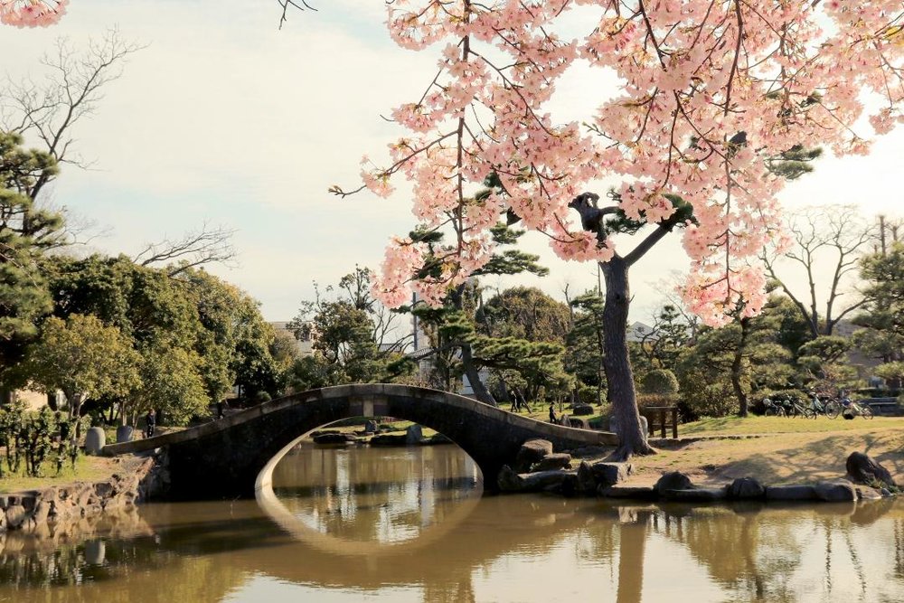 大阪 住吉公園 桜