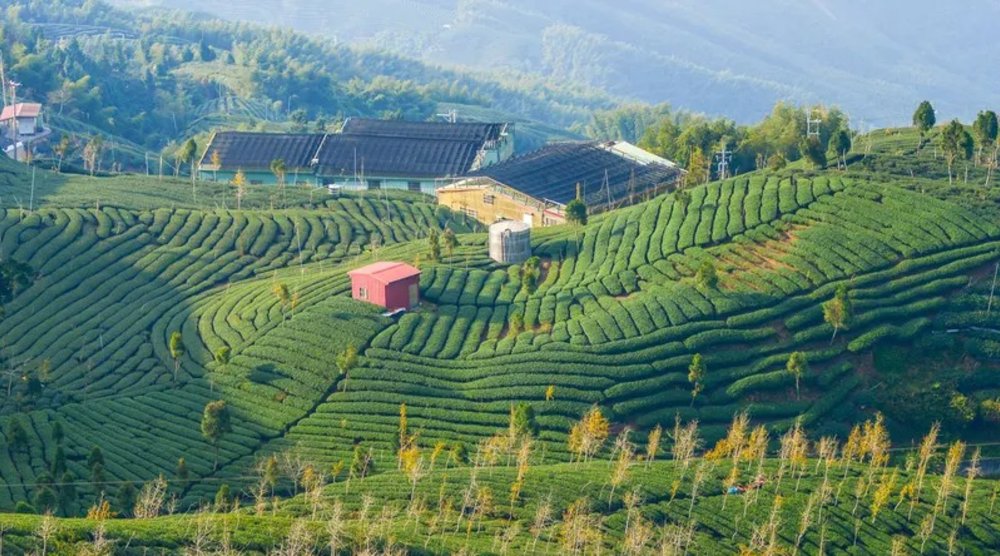 taipei day trips pinglin