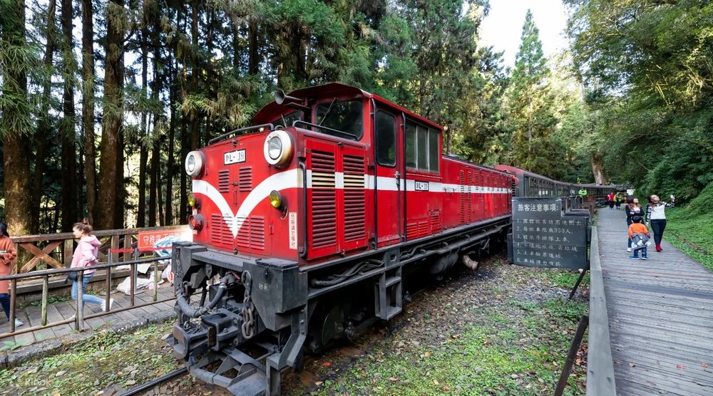 alishan forest train taipei day trip