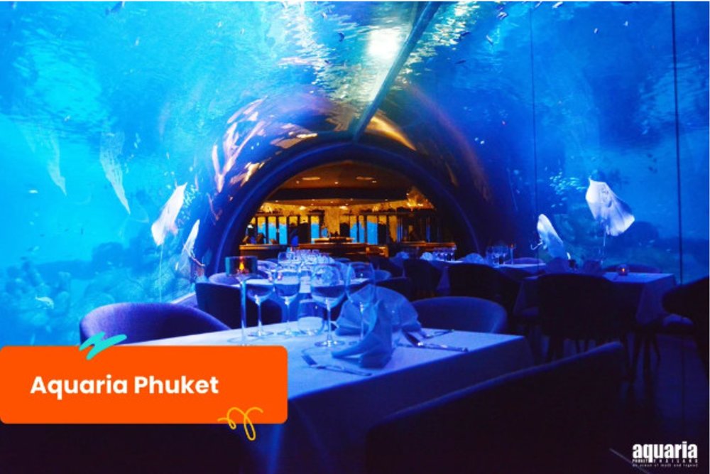 aquaria phuket 布吉海洋水族館