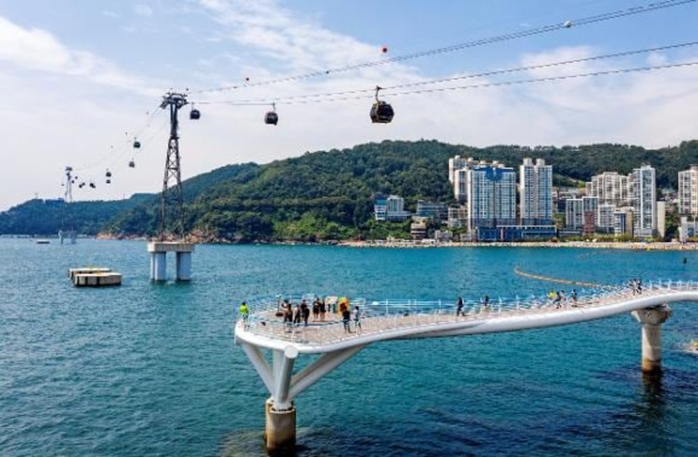 ภาพจาก: Visit Busan
