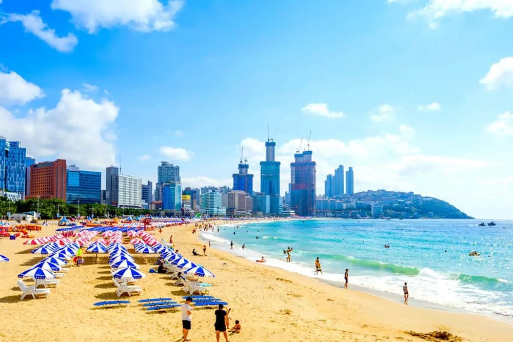 ขับรถมาลงที่ ถนนเลียบชายฝั่ง ตั้งอยู่ในปูซาน