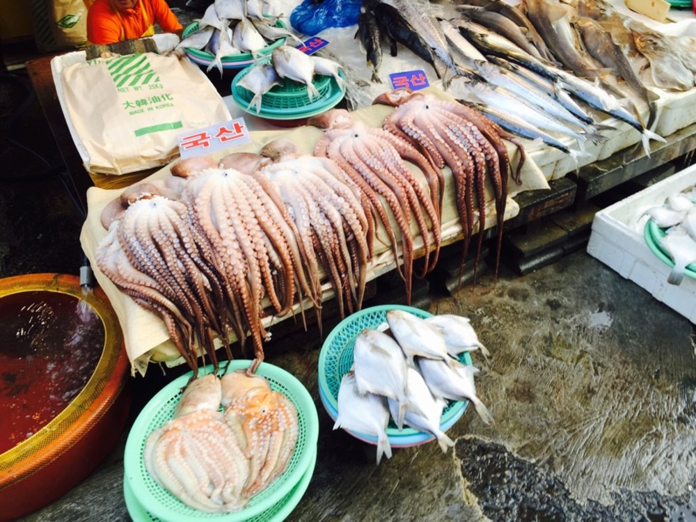 เดินเที่ยว ตลาดปลาจากัลจิ (Jagalchi Fish Market) แห่งเมืองปูซาน l ขอบคุณรูปภาพจาก Pantip