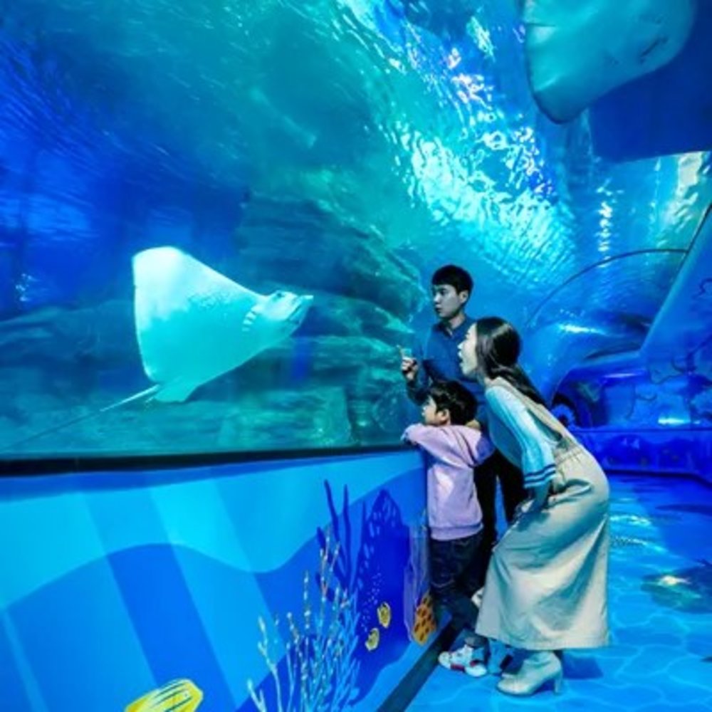  SEALIFE Busan l ขอบคุณรูปภาพจาก VisitSeaLifeBusan