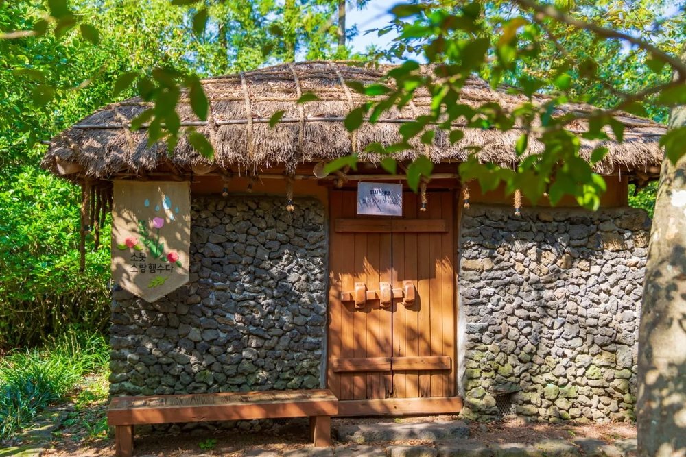 เชจู คามีเลียฮิลล์ (Jeju Camellia Hill) เดินทางท่องเที่ยวได้ตลอดทั้งปี | รูปภาพจาก creatrip.com