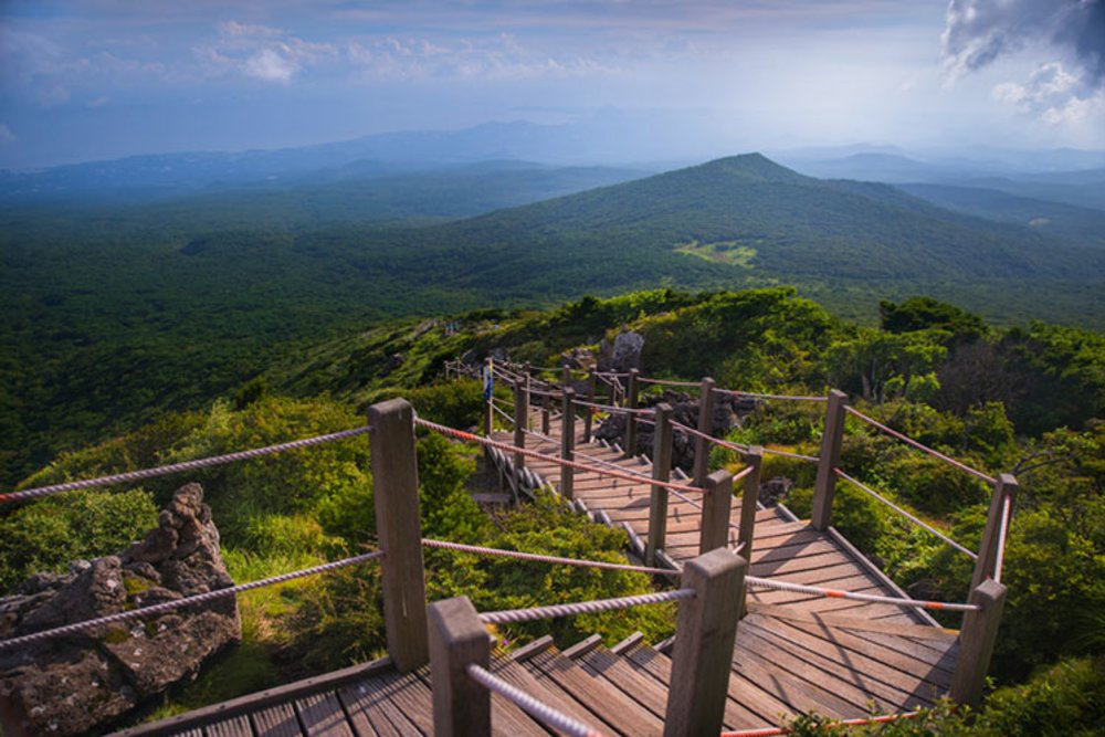 ออกเดินทางขึ้นไปชมความสวยงามของธรรมชาติของฮัลลาซาน | รูปภาพจาก www.chilloutkorea.com