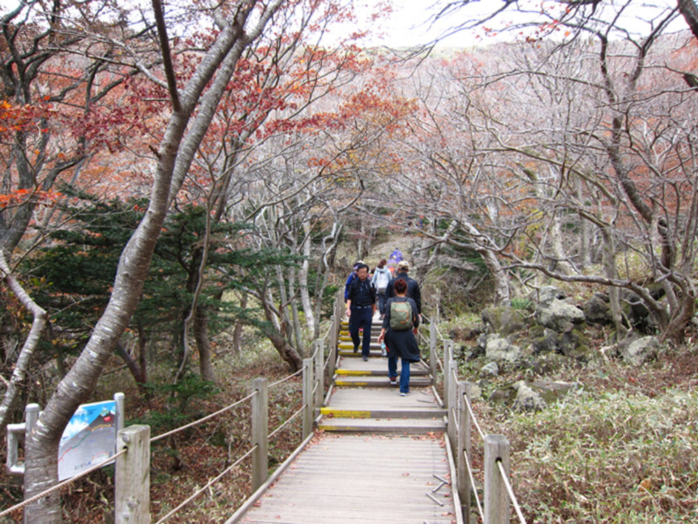 ออกเดินทางสำรวจเส้นทางสำหรับการเดินขึ้นฮัลลาซาน | รูปภาพจาก travel.kapook.com