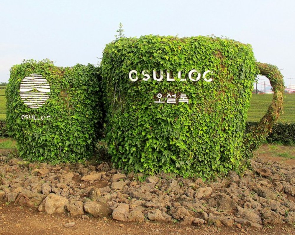พิพิธภัณฑ์ชาโอซุลล็อค (O’Sulloc Tea Museum)