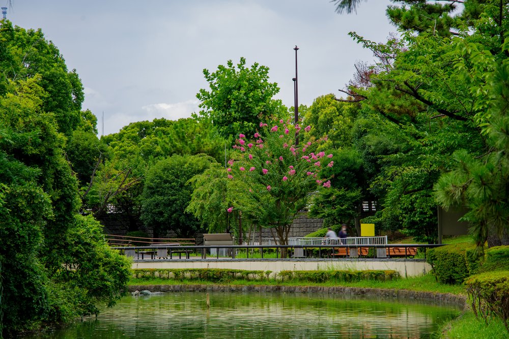 lake and trees