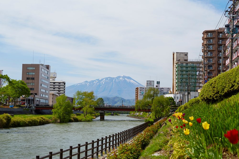 Plants, buildings, and a river in Morioka City