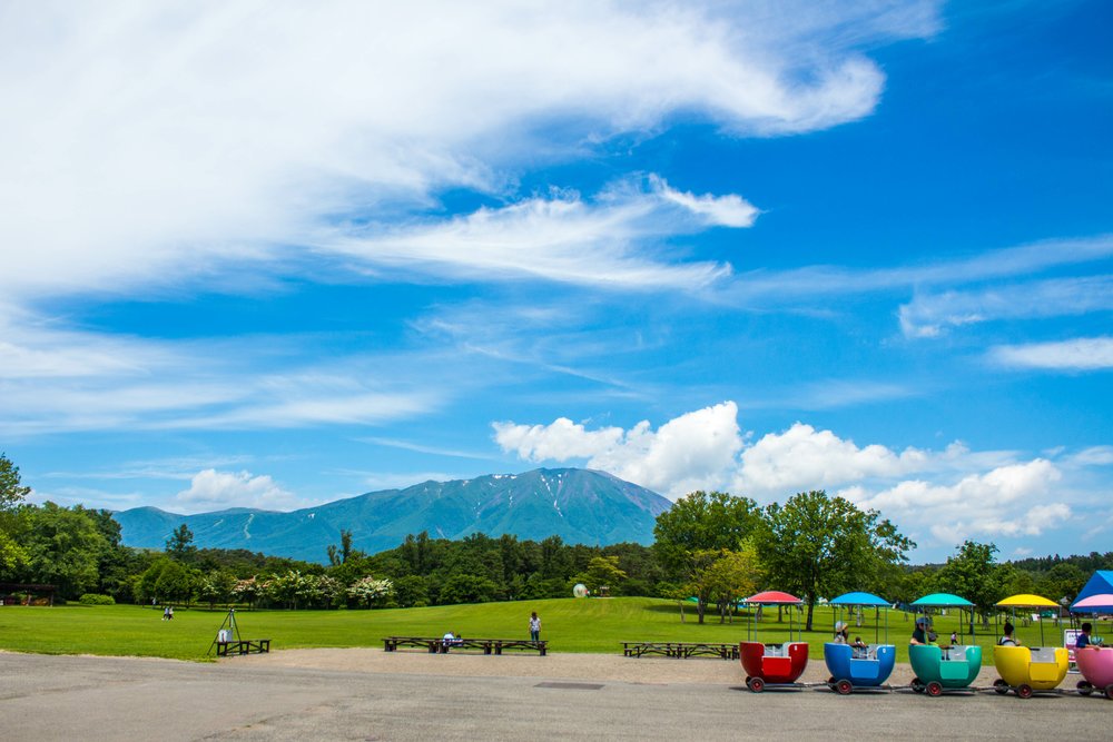 Benches and chairs at Koiwai Farm