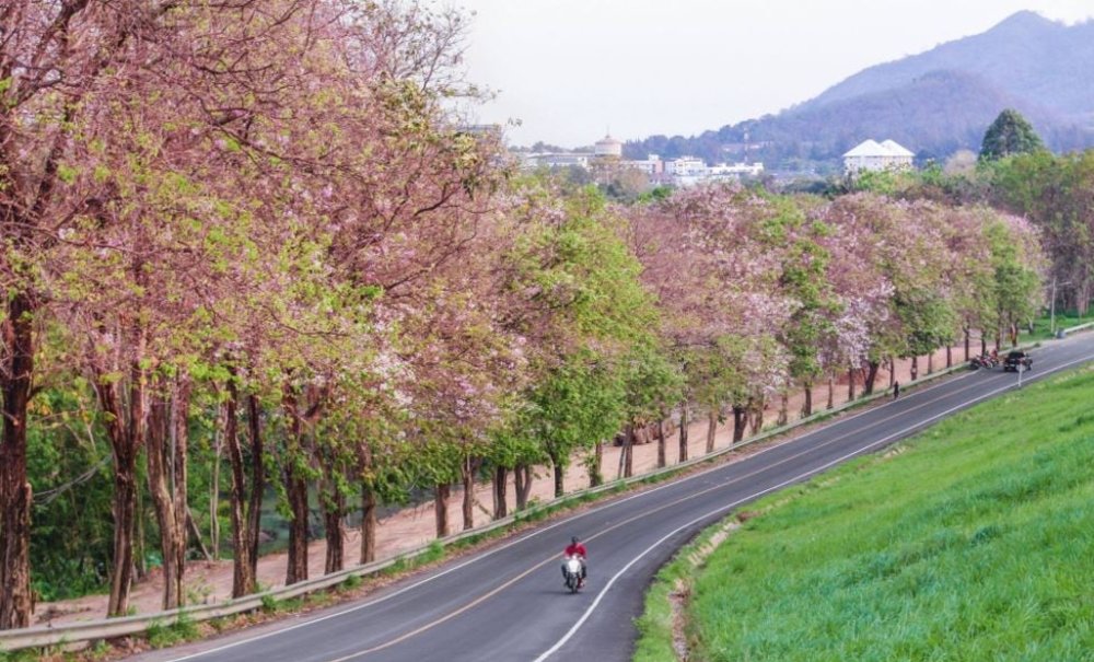 ภาพจาก: รถเช่า