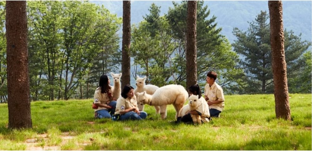 【江原道自由行】BTS巴士站／韓劇《鬼怪》打卡位！南怡島／春川／雪嶽山景點推介