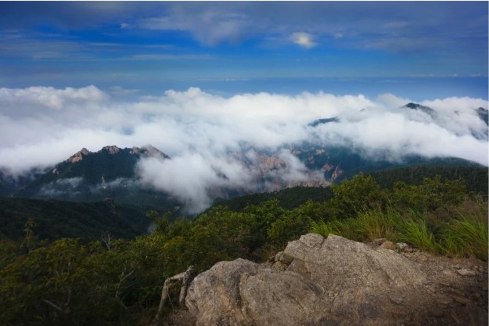 【江原道自由行】BTS巴士站／韓劇《鬼怪》打卡位！南怡島／春川／雪嶽山景點推介