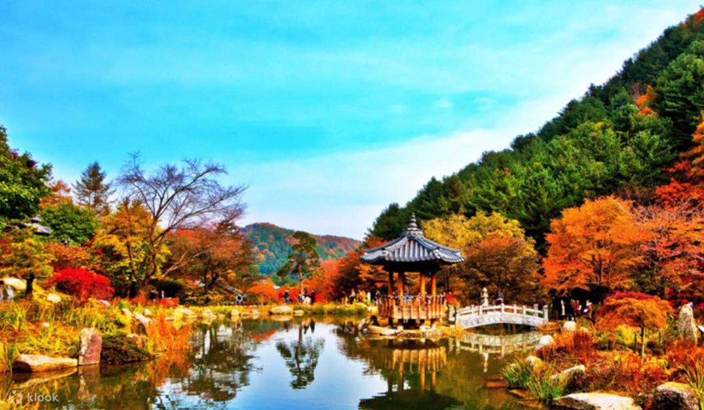 Garden Of Morning Calm