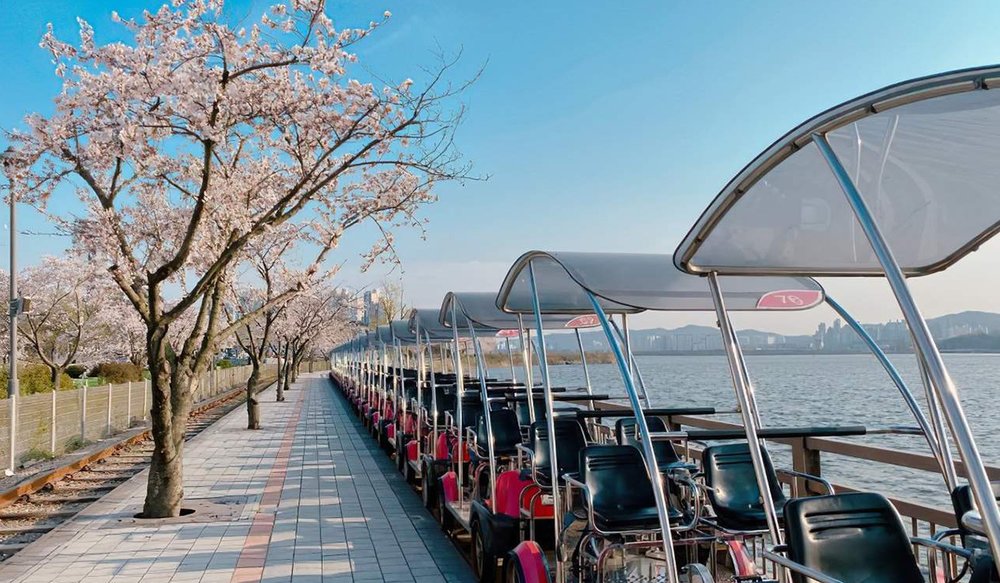 Du Lịch Tỉnh Gyeonggi Mùa Nào Đẹp?