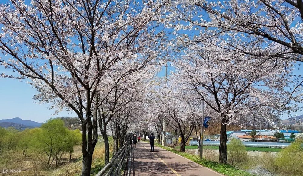 Công Viên Yangpyeong Galsan
