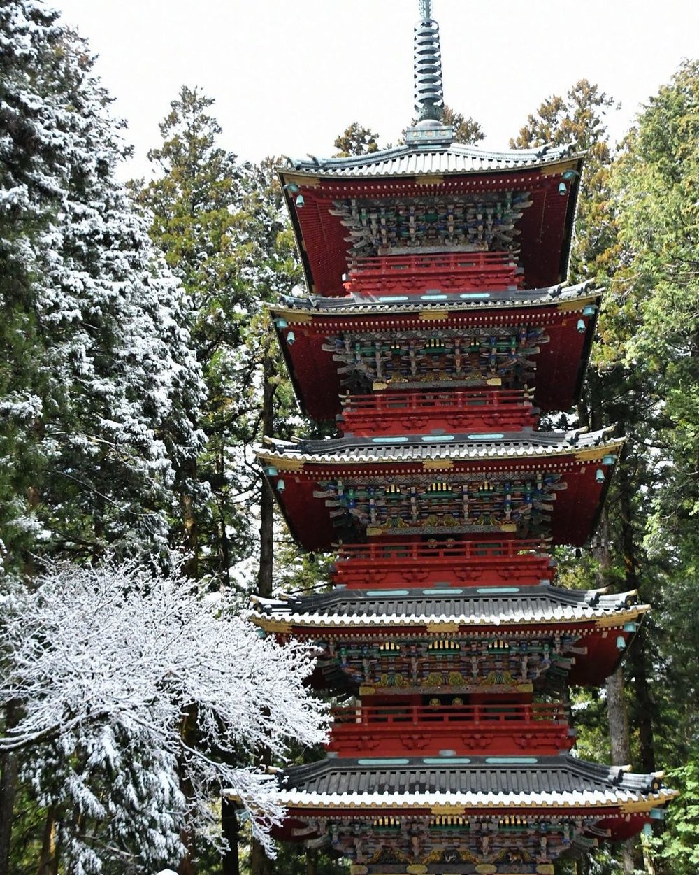 放置了釋迦摩尼佛遺骨的五重塔。（圖片來源：@usako0225）