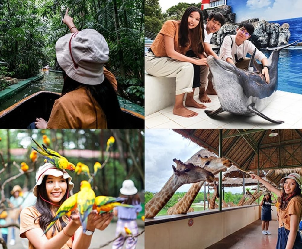 曼谷親子景點賽瑞佛野生動物園