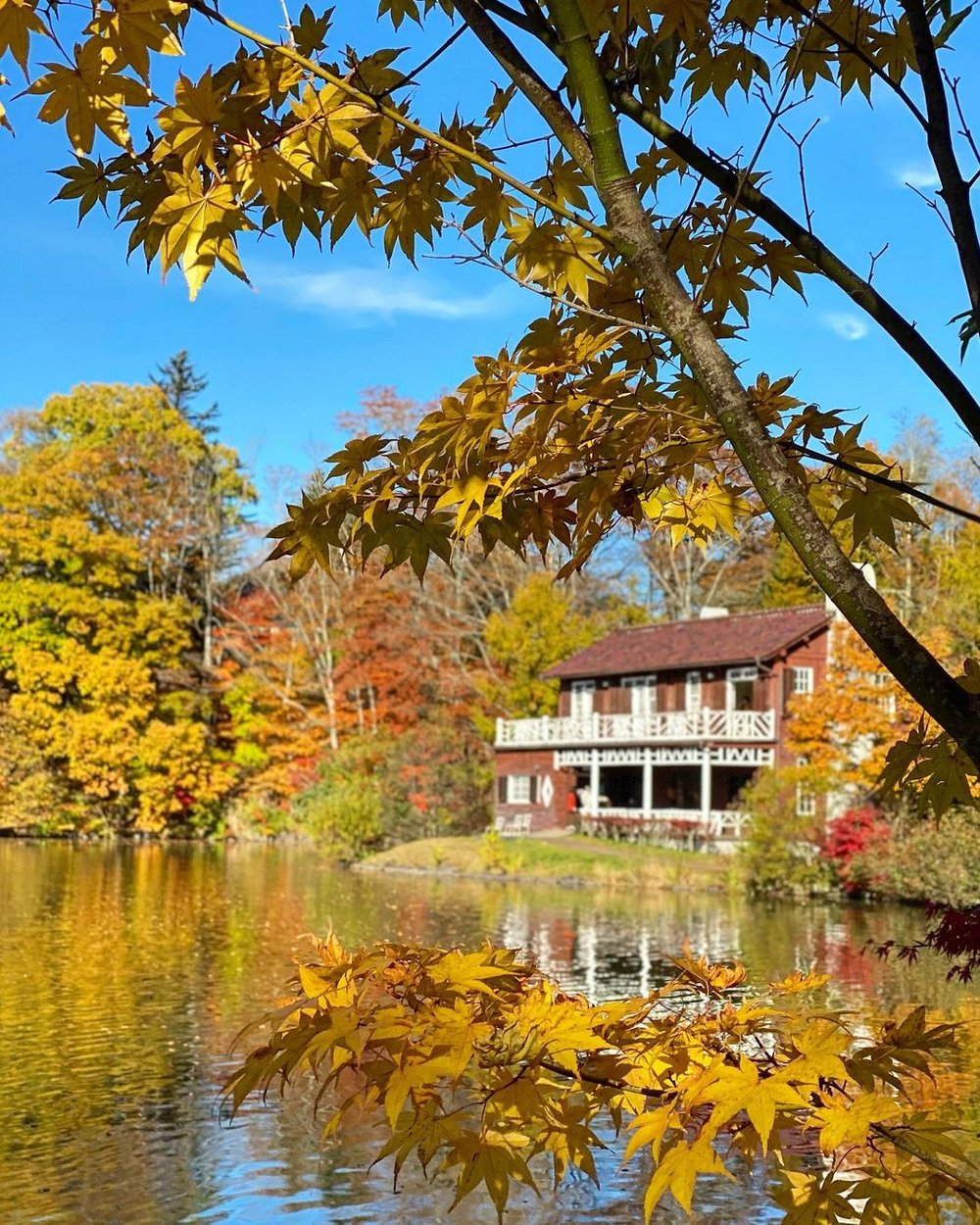 【東京JR Pass】JR東京廣域周遊券 3日無限任搭｜票價、購票方式、預約指定席