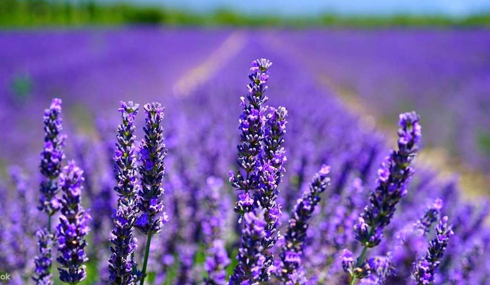 du-lich-tay-bac-3-ngay-2-dem